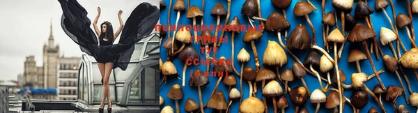 прущая мука Лагань