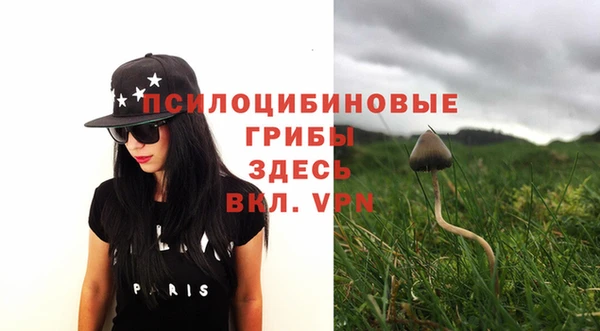 2c-b Лабытнанги