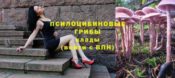 прущая мука Ладушкин